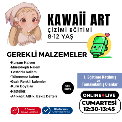 Kawaii Art Çizim Eğitimi Orta Seviye (8-12 Yaş)