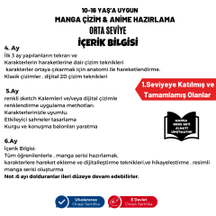 Manga Çizim ve Anime Hazırlama Eğitimi (Orta Seviye)(10-16 Yaş) - Yüz Yüze