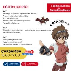 Kodomo Manga & Anime Çizimi (7-13 Yaş)  Orta Seviye