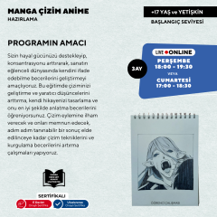 Manga Çizim ve Anime Hazırlama (Başlangıç Seviye) 17 Yaş ve Yetişkin