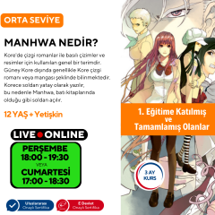 Webtoon ve Manhwa (Kore Çizgi Roman) Hazırlama (Orta Seviye)
