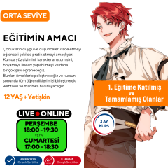 Webtoon ve Manhwa (Kore Çizgi Roman) Hazırlama (Orta Seviye)