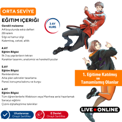 Webtoon ve Manhwa (Kore Çizgi Roman) Hazırlama Eğitimi (Orta Seviye)