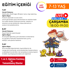 Kodomo Manga & Anime Çizimi  (7-13 Yaş) - İleri Seviye