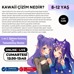 Kawaii Art Çizim Eğitimi İleri Seviye (8-12 Yaş)