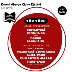 Kawaii Manga Çizim Eğitimi (8-13 Yaş) İleri Seviye - Yüz Yüze