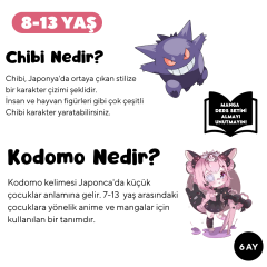 Kawaii Manga Çizim  (8-13 Yaş) İleri Seviye - Yüz Yüze