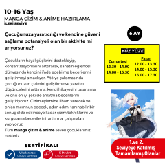Manga Çizim ve Anime Hazırlama  (İleri Seviye)(10-16 Yaş) - Yüz Yüze