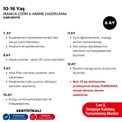 Manga Çizim ve Anime Hazırlama  (İleri Seviye)(10-16 Yaş) - Yüz Yüze