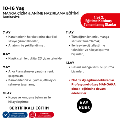 Manga Çizim ve Anime Hazırlama  (İleri Seviye)(10-16 Yaş) - Yüz Yüze