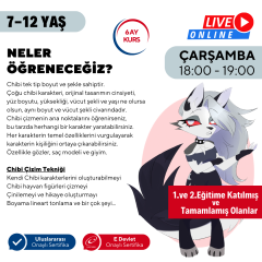 Chibi & Furry Çizim Eğitimi (7-12 Yaş)(İleri Seviye)