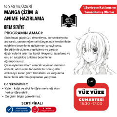 Manga Çizim Ve Anime Hazırlama (Orta Seviye) -Yüz Yüze ( + 16 ve Yetişkin)