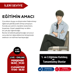 Webtoon ve Manhwa (Kore Çizgi Roman) Hazırlama Eğitimi (İleri Seviye )