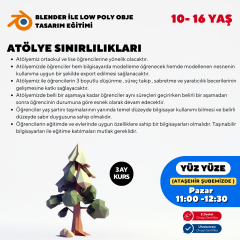 Blender Low Poly Obje Tasarım Eğitimi (10-16 Yaş) -Yüz Yüze