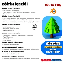 Blender Low Poly Obje Tasarım Eğitimi (10-16 Yaş) -Yüz Yüze