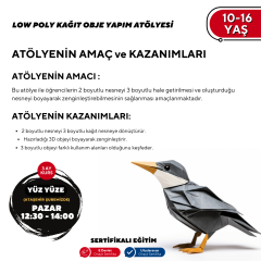 LOW POLY KAĞIT OBJE YAPIM ATÖLYESİ 10-16 YAŞ -Yüz Yüze