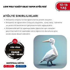 LOW POLY KAĞIT OBJE YAPIM ATÖLYESİ 10-16 YAŞ -Yüz Yüze