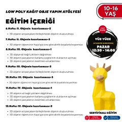 LOW POLY KAĞIT OBJE YAPIM ATÖLYESİ 10-16 YAŞ -Yüz Yüze