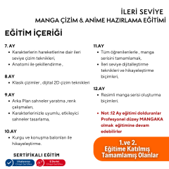 Manga Çizim ve Anime Hazırlama Eğitimi (İleri Seviye)(10-16 Yaş)