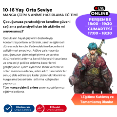 Manga Çizim ve Anime Hazırlama Eğitimi (Orta Seviye)(10-16 Yaş)