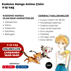 Kodomo Manga & Anime Çizimi  (7-13 Yaş)