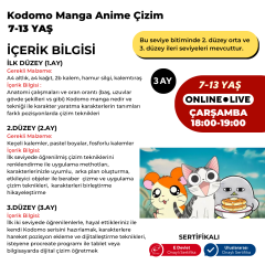 Kodomo Manga & Anime Çizimi  (7-13 Yaş)