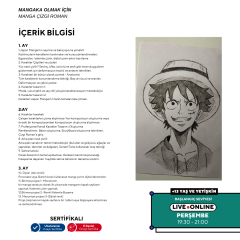 Mangaka Olmak için Japon Çizgi Roman (MANGA) Storyboard