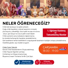 Chibi & Furry Çizim Eğitimi (7-12 Yaş)(orta seviye)