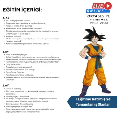 Mangaka Olmak için Japon Çizgi Roman (MANGA) Storyboard (Orta Seviye)